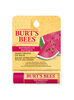B%C3%A1lsamo%20Burt's%20Bees%20Labial%20Sand%C3%ADa%204.25%20g%20%20%20%20%20%20%20%20%20%20%20%20%20%20%20%20%20%20%20%20%20%20%20%2C%2Chi-res