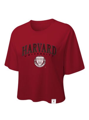 Crop Top Harvard Preppy Style-Single Letter,Rojo,hi-res