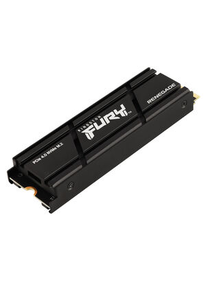 SSD Fury Renegade 1TB PCIe Gen 4x4 NVMe,,hi-res