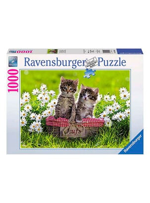 Ravensburger Puzzle Picnic 1000 piezas Caramba,,hi-res