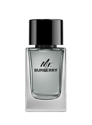 Perfume Burberry Mr. EDT For Him 100 ml                     ,,hi-res