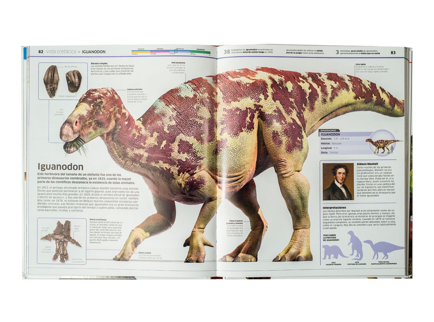 Enciclopedia Dinosaurios - Dk - Libros 