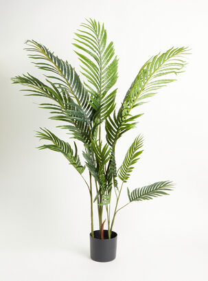 Planta Palmera 120 cm,,hi-res