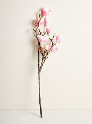 Magnolia 61 cm,,hi-res