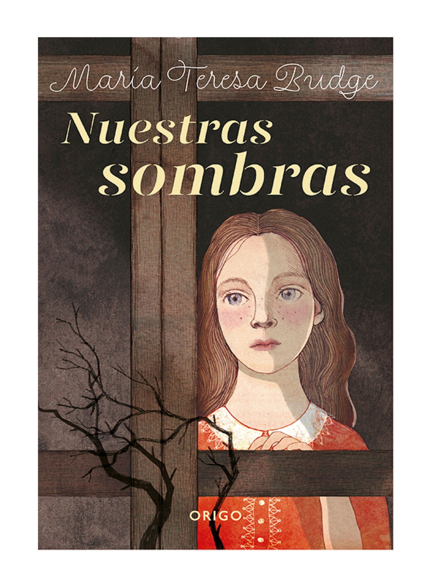 Libro Nuestras Sombras - María Teresa Budge - Libros | Paris.cl