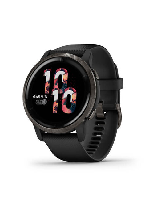 Smartwatch Garmin Venu 2 Black Slate                       ,,hi-res