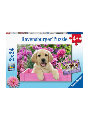 Ravensburger Puzzle Cachorros 2x24 Caramba,,hi-res