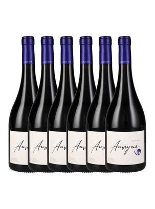 Set 6 Vinos G.Silva Pinot Noir Amayna,,hi-res