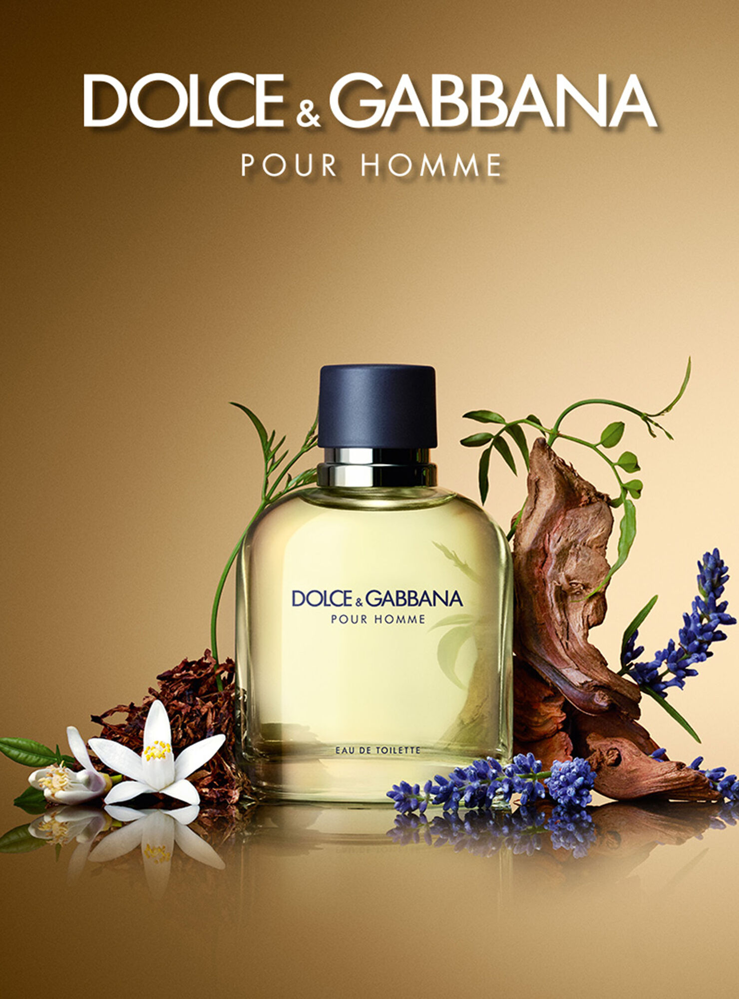 Perfume Dolce&Gabbana Pour Homme EDT 125 ml - Perfumes Mujer | Paris.cl
