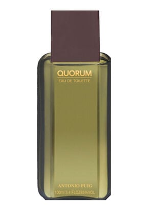 Perfume Quorum Antonio Puig Hombre EDT 100 ml                     ,Único Color,hi-res