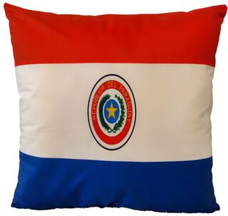 Cojín Felpa 45x45 cm De La Bandera de Paraguay Extra Suave ,hi-res
