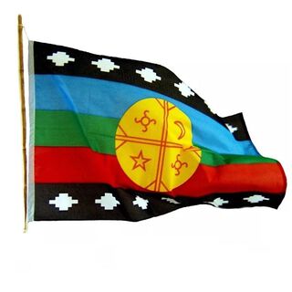 Bandera Mapuche 90 X 145 Bandera Mediana Mapuche,hi-res