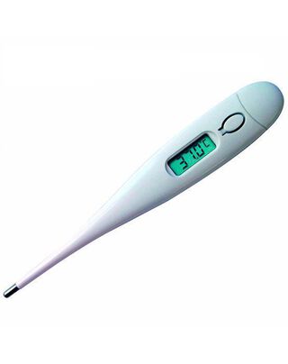 Termometro Corporal Digital Tipo Lapiz Bebe Y Familia,hi-res