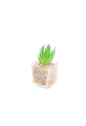 Cactus artificial 5*8cm,hi-res
