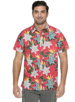 Camisa Hombre Coral Panama Jack,hi-res