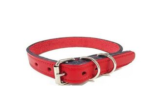 Collar P/ Perro Cuero Natural Ancho 20 Mm, Largo 44 Cm Rojo,hi-res