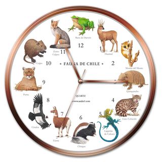 Reloj Fauna,hi-res