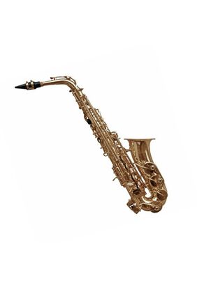 Juguete de saxofón, Juguete de instrumento, Juguetes para niños, Tocar  música, Iluminación, Saxofón de ocho tonos, Clarinete, Simula