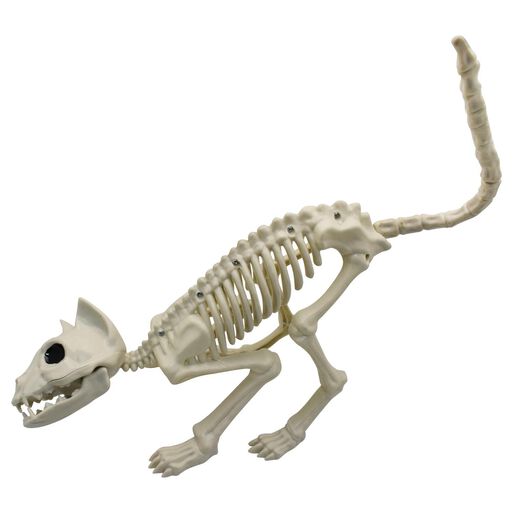 Esqueleto Gato 48x18 cm Halloween Big Party,hi-res