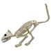 Esqueleto%20Gato%2048x18%20cm%20Halloween%20Big%20Party%2Chi-res