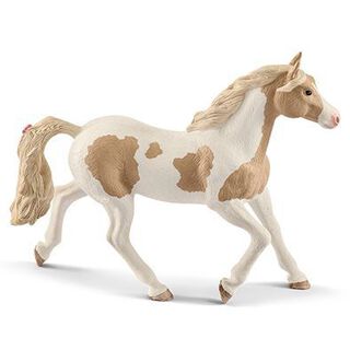 Yegua Paint Horse,hi-res