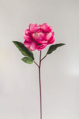Peonia Fucsia Flor Artificial by Le Bouquet 66 cm,hi-res