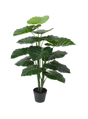 Taro Verde de 90 cm, 12 hojas,hi-res