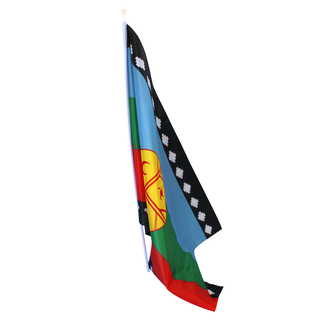 Bandera Mapuche 90 X 60 Cm,hi-res