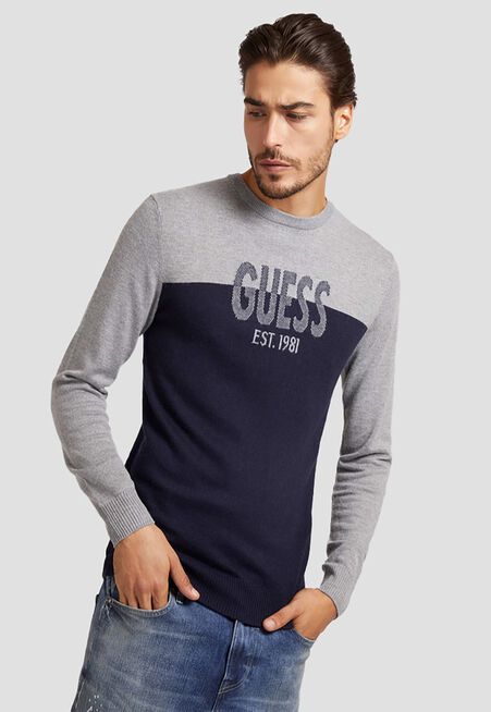 Tejido%20Guess%20Ls%20Sweaters%20F74V%20Gris%2Chi-res