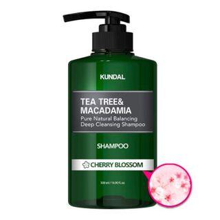 Shampoo coreano con extracto de árbol de té y macadamia de limpieza profunda - KUNDAL,hi-res