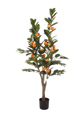 Planta Decorativa Corel Arbol De Mandarino 120cm,hi-res