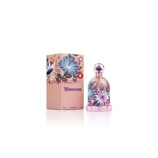 Perfume Halloween Blossom Edt 100Ml Mujer,hi-res