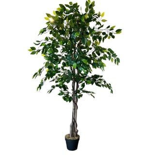 Planta Artificial Ficus Premium 160 cm./ 1008 Hojas,hi-res