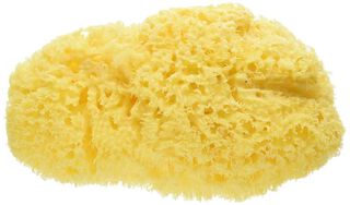 Bellini-Esponja Natural de Mar Honeycomb – 10 cm,hi-res