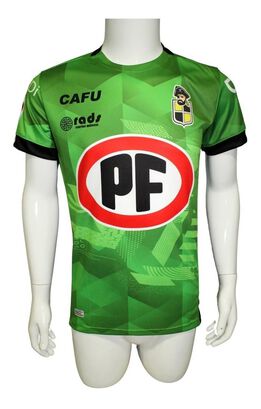      Camiseta Coquimbo Unido Arquero 2020 Verde N° 1 Cano Cafu ,hi-res