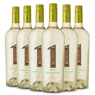 6 Vinos Uno - Antigal Winery - Sauvignon Blanc,hi-res