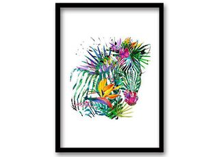 Cuadro 40x30 cm ilustración Color zebra,hi-res