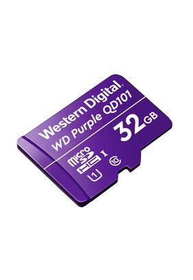Memoria SD 32GB Western Digital Videovigilancia Clase 10,hi-res
