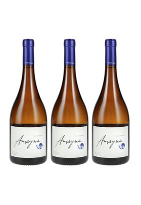 3 Vinos Garces Silva Amayna Chardonnay,hi-res