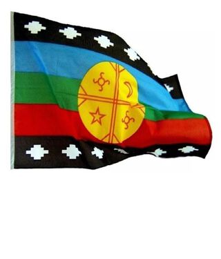 Bandera Mapuche Mediana 90 X 145cms, Poliester. Bf3,hi-res
