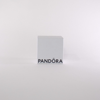 PANDORA Kit de cuidado y limpieza : : Fashion