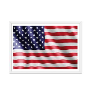 Cuadro individual Bandera Americana,hi-res