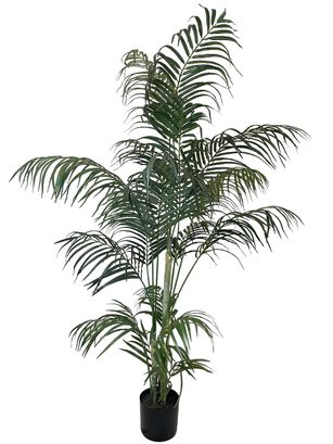 Planta Decorativa Palmera Areca 210 Cm,hi-res