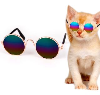 Lentes Gafas De Sol Gato Para Mascotas Gatito Perrito,hi-res