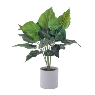 Planta Decorativa Artificial Alocasia Cucullata,hi-res