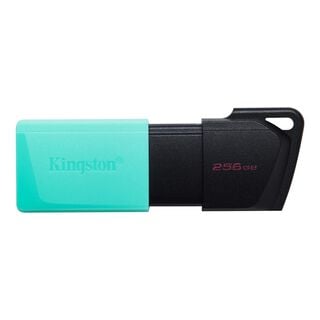 Pendrive Kingston USB 3.2 256GB Exodia M,hi-res