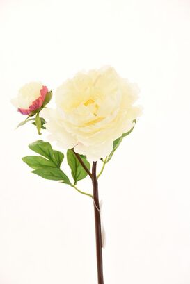 Flor Decorativa Peonia Con Boton Blanca 54Cm,hi-res