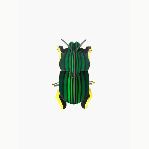 Peque%C3%B1o%20Insecto%20-%20Scarab%20Beetle%2Chi-res