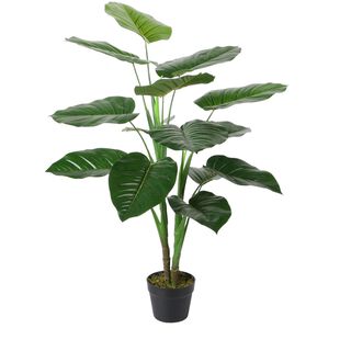 Planta Decorativa Artificial Alocasia Calidora 90 Cms.,hi-res
