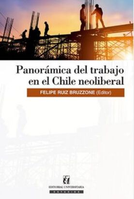 Libro Panoramica Del Trabajo En El Chile Neoliberal -261-,hi-res